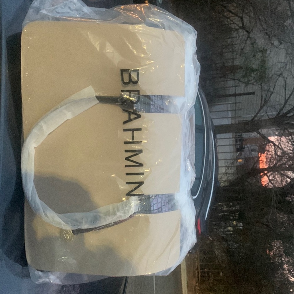 Brahmin New Snake Print Bag